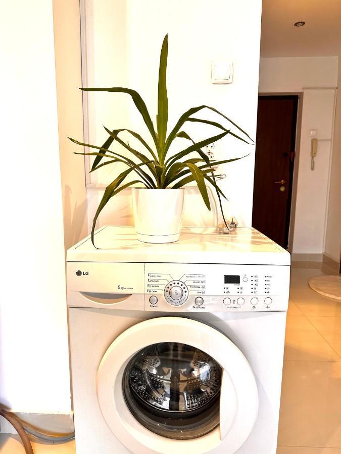 Eva Studio Apartman Bukarest Kültér fotó